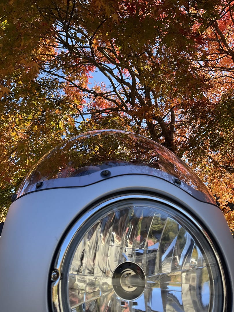 出会いは突然に