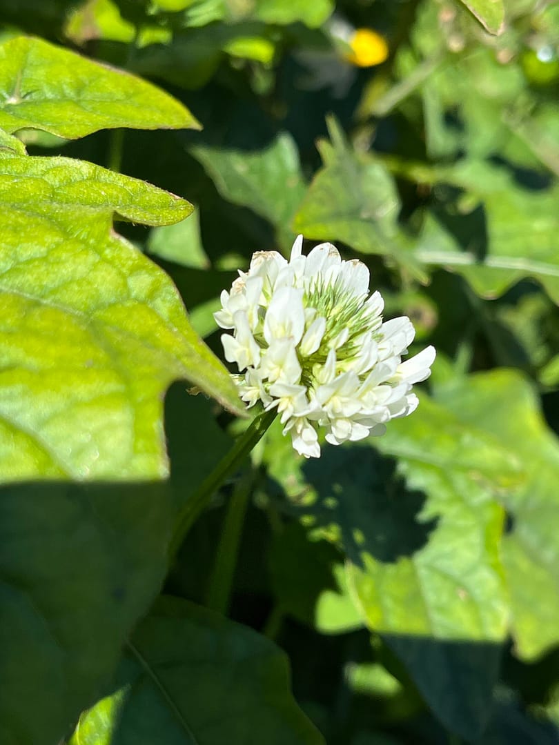 生きるのがつらいなら